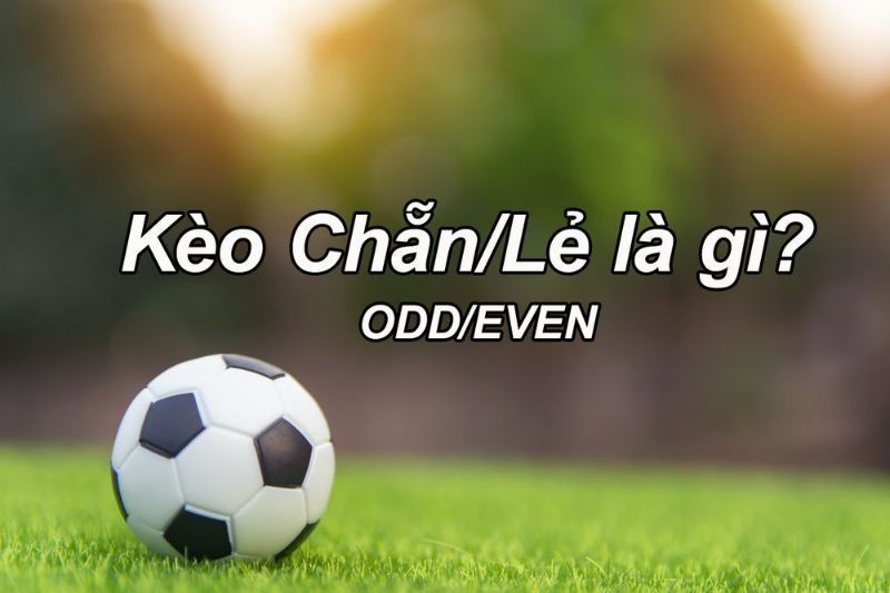 Kèo chẵn lẽ là gì? 5 tip chơi kèo chẵn lẻ bách thắng