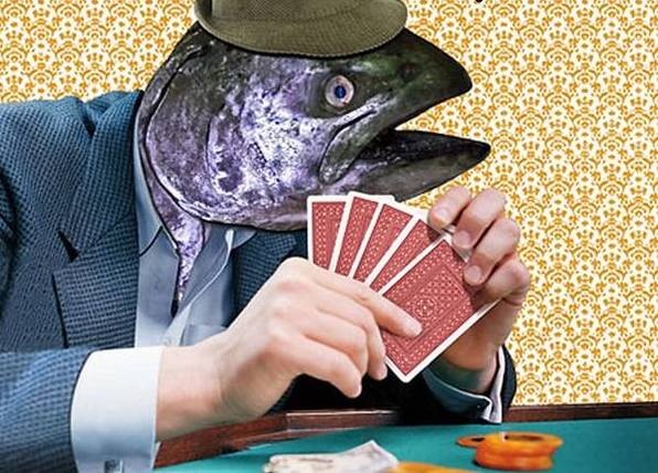 Fish trong Poker là gì? Dấu hiệu nhận biết người chơi kém