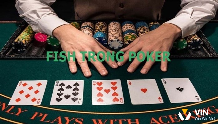 Cùng Vin68 tìm hiểu Fish trong Poker là gì?