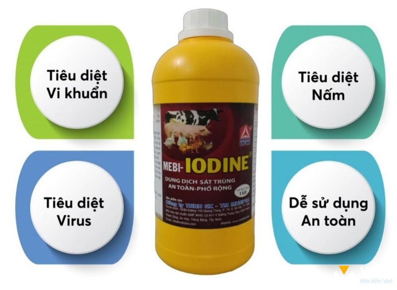 Sử dụng MEBI-IODINE để khử trùng chuồng trại cho gà chọi giúp gà chống lại bệnh Marek gây bại liệt