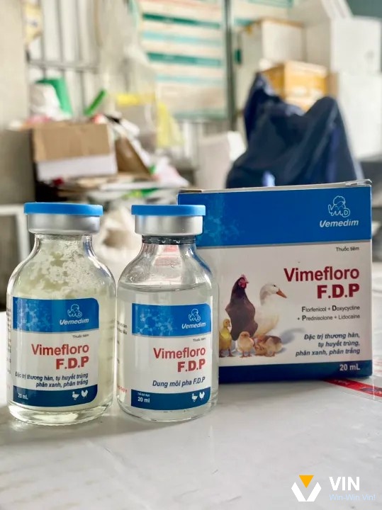 Vimefloro F.D.P là thuốc trị gà mù mắt do bị cựa đâm hiệu quả